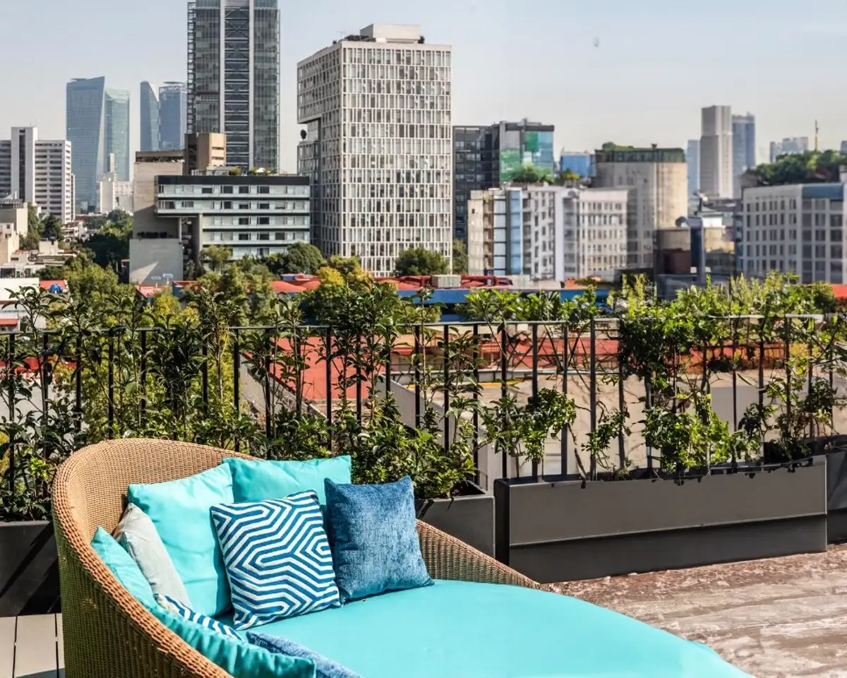 Park Life Condesa - 1