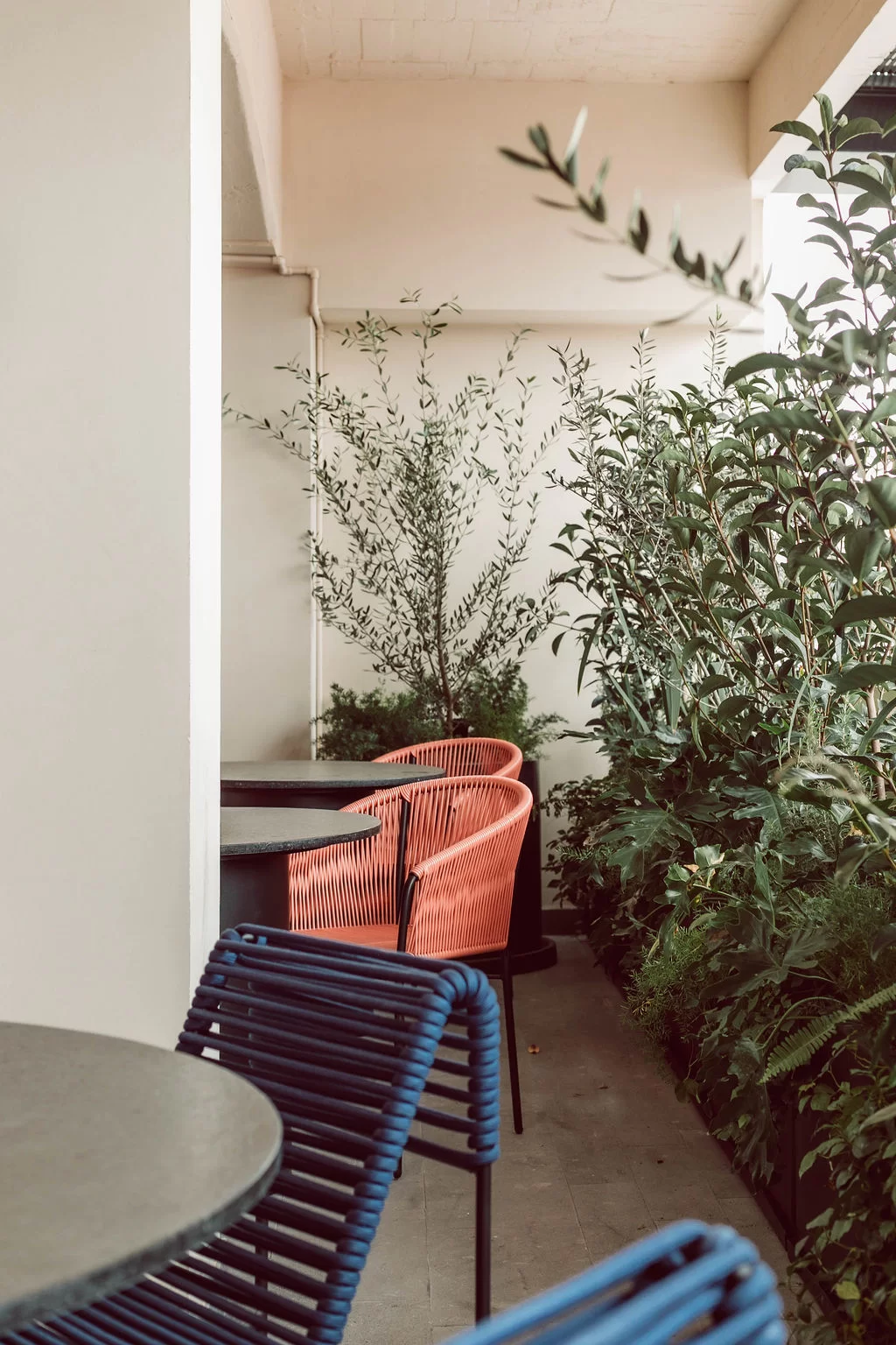 Park Life Lamartine - CDMX - Galeria | Park Life