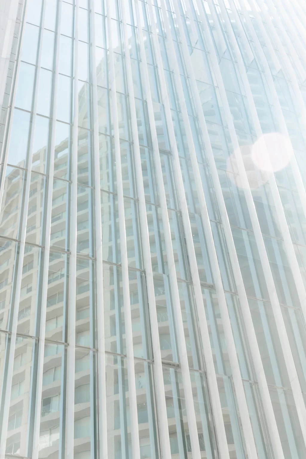 Park Life Santa Fe Paradox - CDMX - Galeria | Park Life