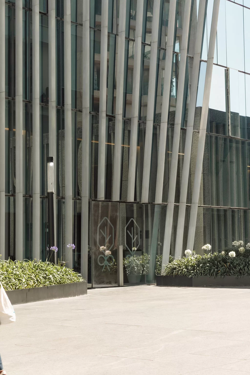 Park Life Santa Fe Paradox - CDMX - Galeria | Park Life