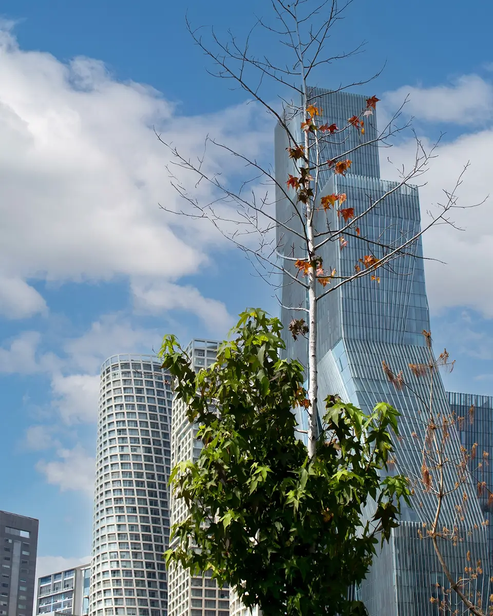 Park Life Santa Fe Paradox - 1